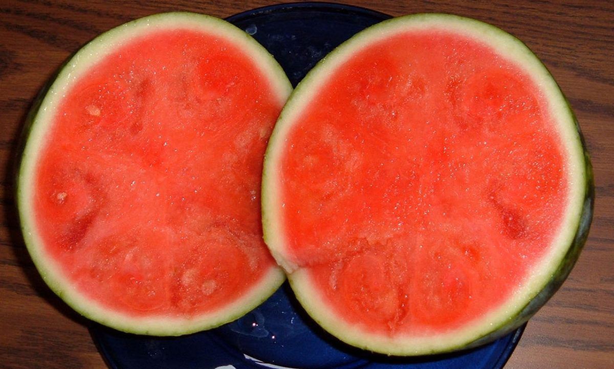 sandia
